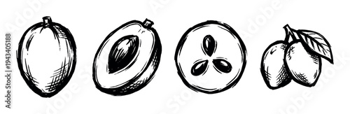 Hand-drawn black ink sketch of plums showing a whole fruit, a half with a stone, a cross-section slice, and two fruits on a branch with a leaf in a rustic style