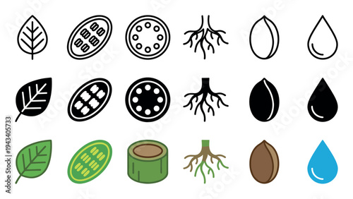 Collection of plant part icons showing a leaf, pod, stem, root, seed, and water drop in three distinct visual styles: thin line art, solid black glyph, and simple color