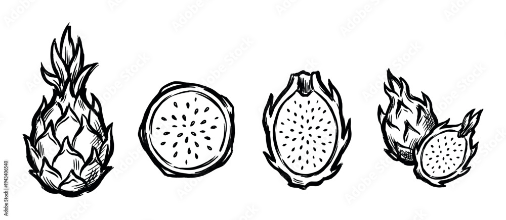 Fototapeta premium Hand-drawn dragon fruit illustrations set showing the whole exotic pitaya, cross-section slices, and halves in a rough, expressive black ink brush sketch style