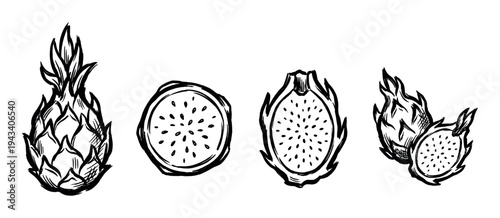 Hand-drawn dragon fruit illustrations set showing the whole exotic pitaya, cross-section slices, and halves in a rough, expressive black ink brush sketch style