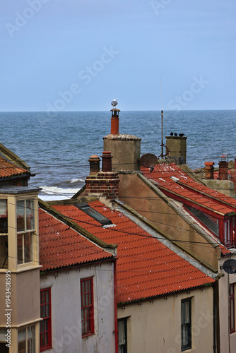 Coastal village rooftops with seagull perched on chimney; Staithes fishing village seaside view on the North Yorkshire Coast, North York Moors, England