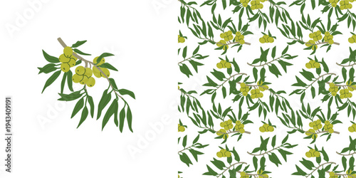 Green olive branch with seamless texture. Summer design of olive tree plant parts and leaves, fruits. Green olive mediterranean pattern for textile, wrapping, food backgrounds.