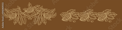Cacao plant decorative border with cocoa pods, beans and tropical leaves. Elegant hand drawn botanical divider in vintage ink style. Natural organic chocolate illustration for food labels