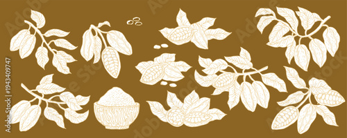 Cocoa fruits vector sketch collection. White outline Cacao powder, beans, branches and compostions for food chocolate and spicy design. Hand drawn vector illustration. Linear sketch of cacao.