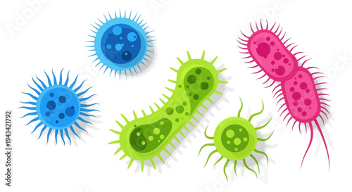 Colorful illustrations of various bacteria types.