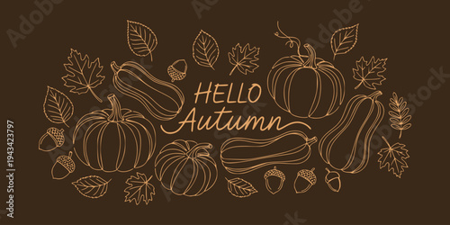 Autumn pumpkins, squashes, leaves and acorns in line style on dark backdrop, concept of seasonal greeting and harvest season