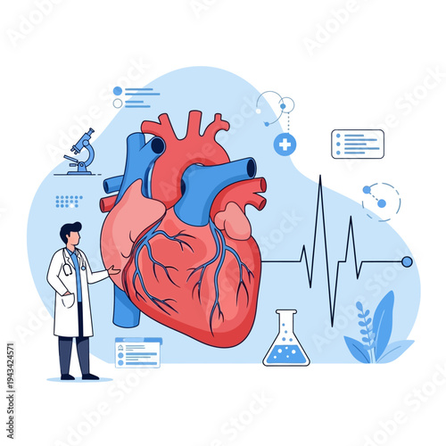 Doctor examining human heart with medical equipment and EKG line, cardiology concept