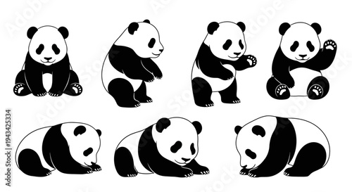 Cute Panda Set: Various Poses of Adorable Giant Pandas in Black and White