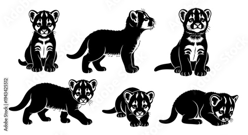 Cute Cougar Kittens Set: Sitting, Walking, Playing - Black and White Vector Illustrations