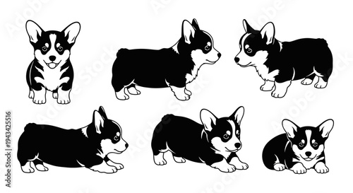 Cute Corgi Puppies Collection: Adorable Dog Poses, Black and White Vector Art