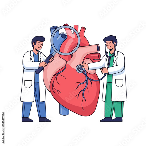Doctors examining a human heart with a magnifying glass and stethoscope, cardiology concept