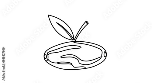 Simple Line Drawing of an Apple Fruit.