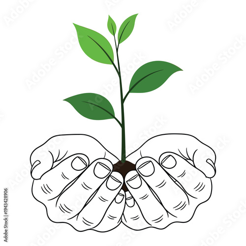 Hands carefully holding a young plant sprout, symbolizing growth, care, and new beginnings.
