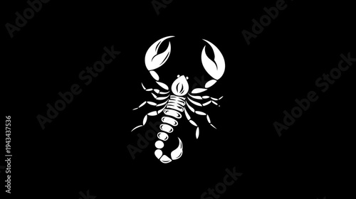 A white scorpion illustration, presented on a stark black background, showcasing intricate details