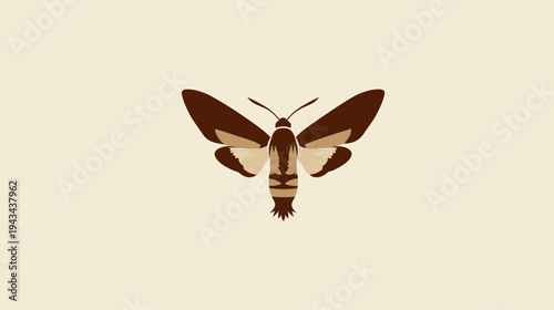 Simplified illustration of a moth with brown wings, cream accents, and antenna, on a beige backdrop
