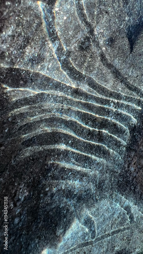 Close up of dark rock surface with light reflections creating abstract patterns. Natural mineral texture useful as background for creative or design projects.