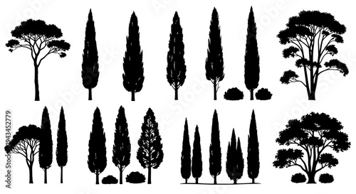 Collection of Silhouette Trees and Bushes, Cypress and Pine Varieties, Vector Illustration