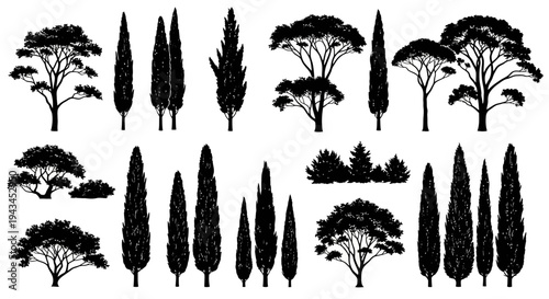 Collection of Silhouette Trees: Cypress, Pine, and Evergreen Varieties
