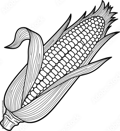 A duck with an ear of corn illustration