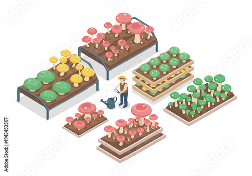 Isometric mushroom farm with farmer watering plants and various mushroom crops growing