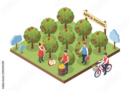 Isometric apple orchard scene with people harvesting ripe red apples and a sign that says apple picking
