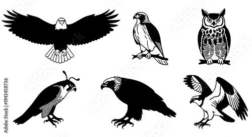 Black Silhouette Wildlife Icons Featuring Migratory and Waterfowl Species