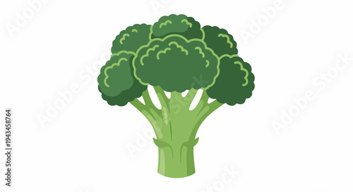 Fresh Green Broccoli Floret Illustration in Flat Design