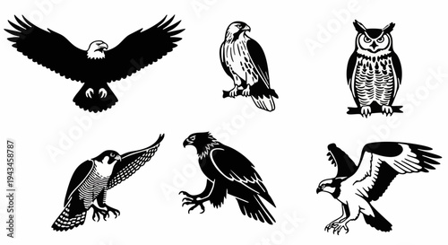 Water Bird and Wetland Avian Silhouette Icon Set