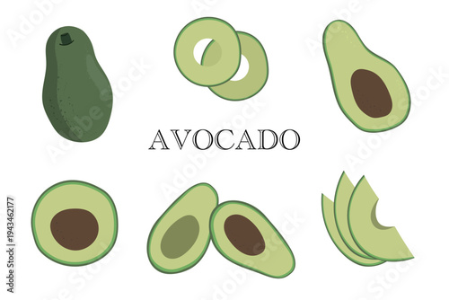 Vector avocado set with whole fruit, halves with pit, slices, rings and wedges. Organic healthy food illustration for vegan, keto recipes and menu design. Minimalist flat style