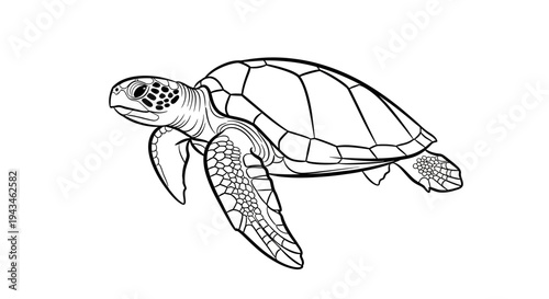 A detailed black and white line drawing of a sea turtle swimming gracefully through the water, showcasing its shell and flippers.