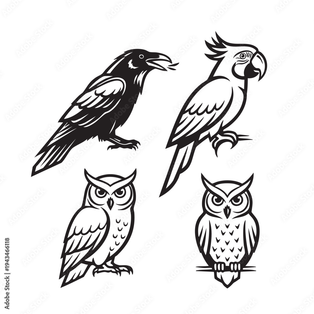 Obraz premium Black and white illustrations of raven, parrot, and owl birds in various poses.