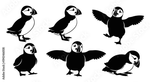 Cute Puffin Bird Collection: Diverse Poses and Actions, Black and White Vector Art