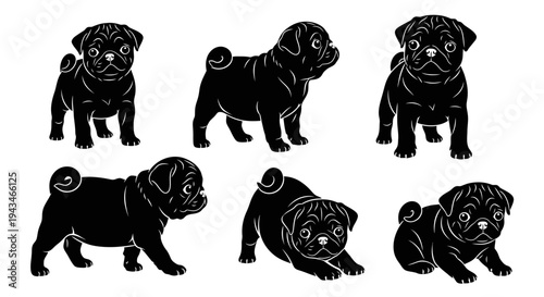 Cute Pug Puppies Silhouettes Collection: Playful Poses, Black and White Vector Art