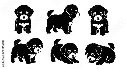 Cute Puppy Collection: Adorable Black and White Dog Poses for Joyful Designs