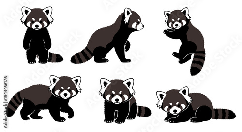 Cute Red Panda Collection: Various Poses of Adorable Red Pandas