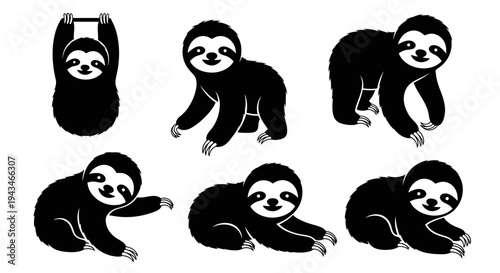 Cute Sloth Collection: Six Poses of Adorable Sloth Vector Illustrations