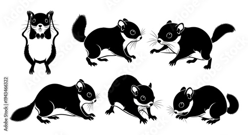 Cute Squirrel Silhouettes: Set of 6 Poses, Black and White Vector Illustrations