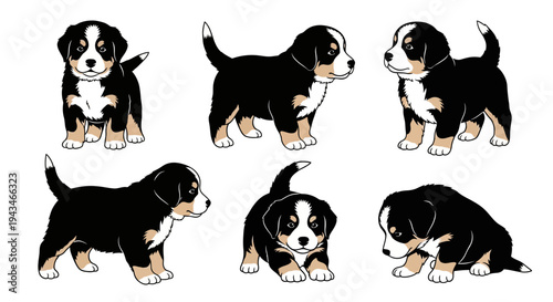 Cute Swiss Mountain Dog Puppies: Six Adorable Poses of Young Bernese Mountain Dogs