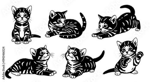 Cute Tabby Kittens Collection: Playful Poses, Black and White Illustration