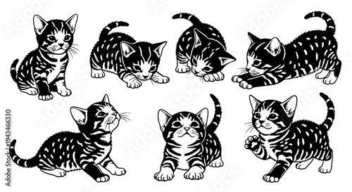 Cute Tabby Kittens Playful Poses Collection - Black and White Illustration
