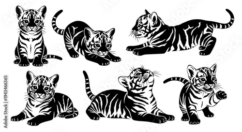 Cute Tiger Cubs Collection: Adorable Baby Tigers in Various Playful Poses