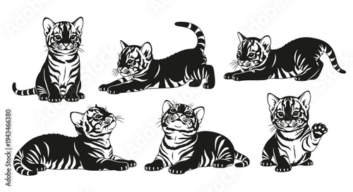 Cute Tiger Kittens Set: Playful Poses, Black and White Vector Illustrations