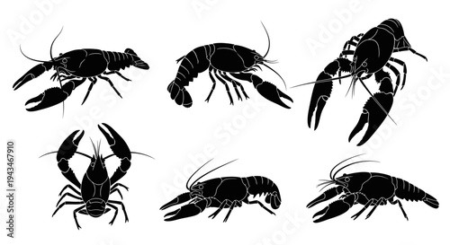 Set of Black Crawfish Silhouettes on White Background, Seafood Illustration