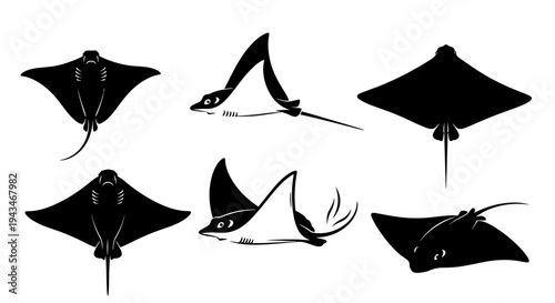 Set of Black and White Silhouettes of Manta Rays Swimming in the Ocean