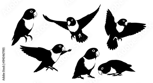 Set of Black and White Silhouettes of Lovebirds in Various Poses