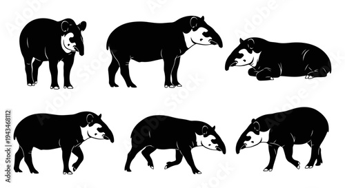 Set of Black and White Tapir Illustrations in Various Poses