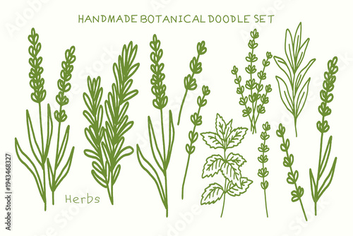 HandDrawn Botanical Herbs Doodle Set