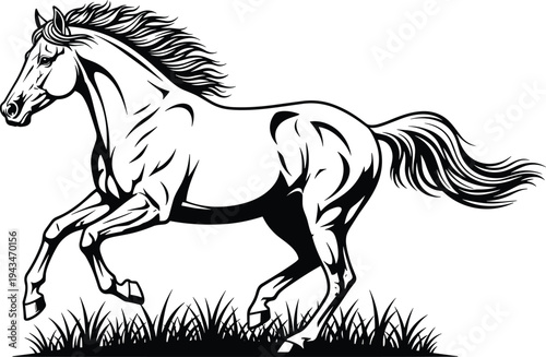 Black and white of a running horse animal equine