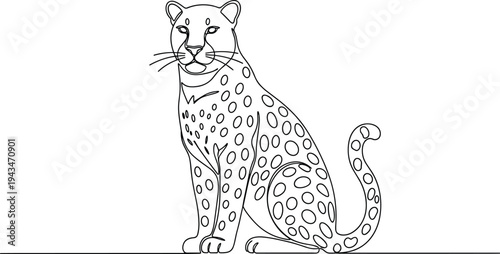 Sitting leopard with spotted fur and curled tail spots line black and white