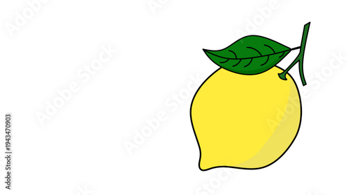 seamless citrus pattern, lemon slice isolated on white background, Freshness Orange Slice Frame, Fresh Orange Slice Illustration, orange vektor illustration, lime dan lemon vektor illustration.